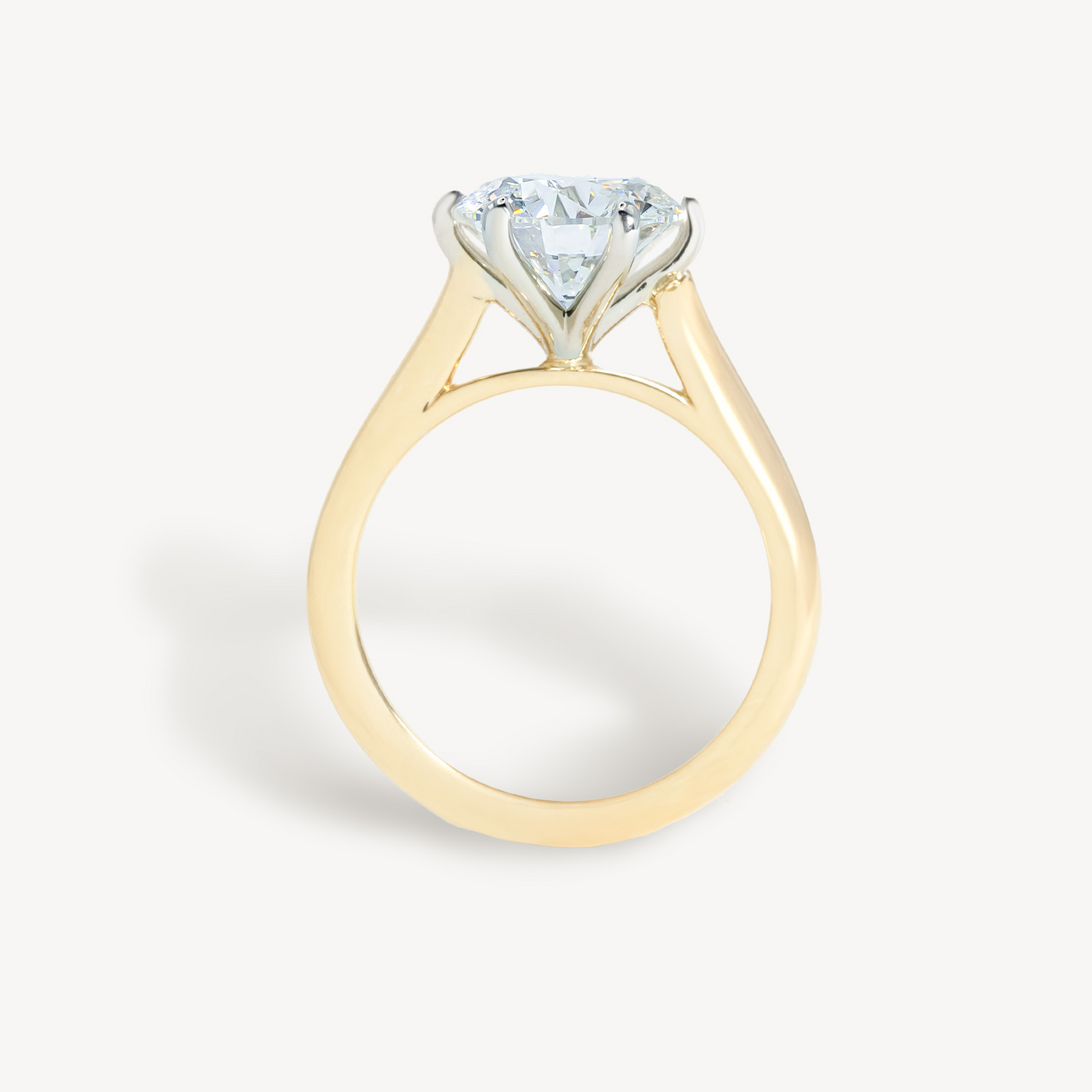 Swan 6 Prong Engagement Ring